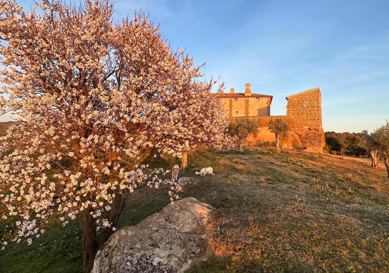 Castillo De Corvinos Huesca Exteriör bild